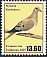 Mourning Dove Zenaida macroura