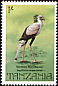 Secretarybird Sagittarius serpentarius  1982 Birds 