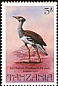 Kori Bustard Ardeotis kori  1982 Birds 