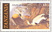 Common Eider Somateria mollissima  1986 Audubon Sheet