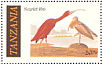 Scarlet Ibis Eudocimus ruber  1986 Audubon Sheet