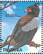 Bateleur Terathopius ecaudatus  1989 Birds Sheet
