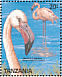 Greater Flamingo Phoenicopterus roseus  1989 Birds Sheet