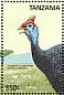 Helmeted Guineafowl Numida meleagris