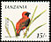 Southern Red Bishop Euplectes orix