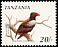 Bateleur Terathopius ecaudatus  1990 Birds 