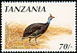 Helmeted Guineafowl Numida meleagris  1990 Birds 