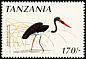 Saddle-billed Stork Ephippiorhynchus senegalensis