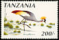 Grey Crowned Crane Balearica regulorum  1990 Birds 