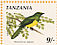 African Emerald Cuckoo Chrysococcyx cupreus  1990 Birds Booklet