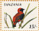 Southern Red Bishop Euplectes orix