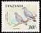 Afep Pigeon Columba unicincta  1991 Birds 