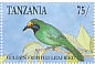 Golden-fronted Leafbird Chloropsis aurifrons  1991 Pet birds Sheet