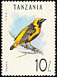 Yellow-crowned Bishop Euplectes afer  1992 Birds 