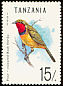 Gorgeous Bushshrike Telophorus viridis  1992 Birds 
