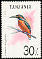 Common Kingfisher Alcedo atthis  1992 Birds 