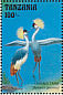 Grey Crowned Crane Balearica regulorum