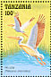 Great White Pelican Pelecanus onocrotalus