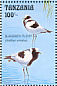 Blacksmith Lapwing Vanellus armatus  1993 Wildlife at a watering hole in Tanzania 12v sheet