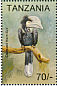 Silvery-cheeked Hornbill Bycanistes brevis  1994 Birds Sheet