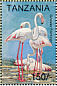 Greater Flamingo Phoenicopterus roseus  1994 Birds Sheet