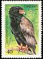 Bateleur Terathopius ecaudatus