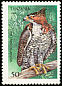 Ornate Hawk-Eagle Spizaetus ornatus  1994 Birds of prey 
