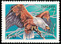 African Fish Eagle Haliaeetus vocifer  1994 Birds of prey 