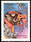 King Vulture Sarcoramphus papa