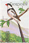 Pin-tailed Whydah Vidua macroura  1996 Birds Sheet