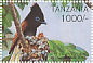 African Paradise Flycatcher Terpsiphone viridis