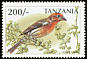 House Finch Haemorhous mexicanus  1997 Birds of the world 