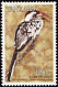 Northern Red-billed Hornbill Tockus erythrorhynchus  1997 Coastal birds 