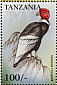 Andean Condor Vultur gryphus  1999 Endangered species of the world 20v sheet