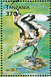 Willet Tringa semipalmata  1999 Birds of the world Sheet