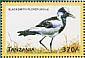 Blacksmith Lapwing Vanellus armatus