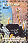 Common Ostrich Struthio camelus  1999 Tourism  MS