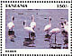 Greater Flamingo Phoenicopterus roseus  1999 Tourism 24v booklet