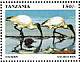 African Sacred Ibis Threskiornis aethiopicus  1999 Tourism 24v booklet