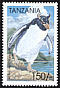 Southern Rockhopper Penguin Eudyptes chrysocome  1999 Seabirds 