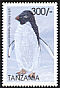 Adelie Penguin Pygoscelis adeliae  1999 Seabirds 