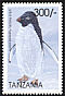 Adelie Penguin Pygoscelis adeliae