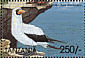 Masked Booby Sula dactylatra  1999 Seabirds Sheet