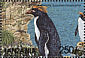 Macaroni Penguin Eudyptes chrysolophus  1999 Seabirds Sheet