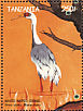 White-naped Crane  Antigone vipio