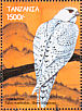 Gyrfalcon Falco rusticolus