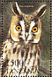 Long-eared Owl Asio otus  1999 Mushrooms  MS