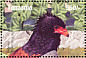 Bateleur Terathopius ecaudatus  2004 Birds Sheet