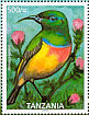 Moreau's Sunbird Cinnyris moreaui  2006 Endemic birds  MS