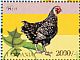 Red Junglefowl Gallus gallus  2014 Farm animals Sheet